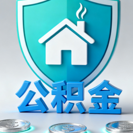 舟山公积金代办行业观察:谁在提供专业服务?